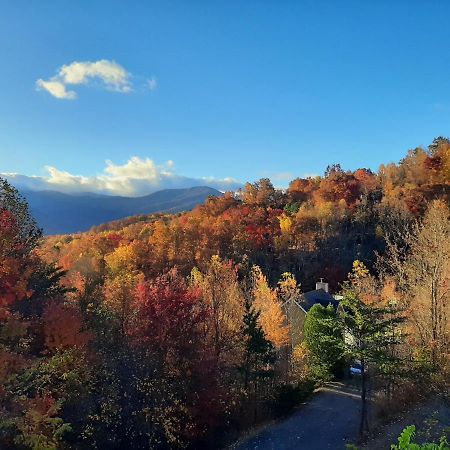 3 Decks, Mtn Views! Tree Tops By Honeybearcabins - Luxury Rain Showers, 3 King Suites, Xl Hottub, Fireplace, Bear Sightings Гатлинбург Экстерьер фото